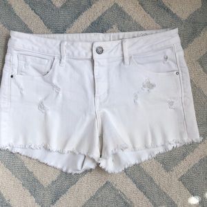 Treasure & Bond Shorts